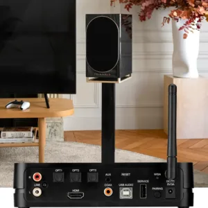 Platin WiSA HT Stereo Hub