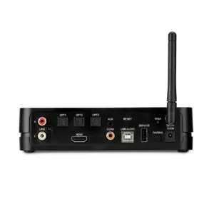 Platin WiSA HT Stereo Hub